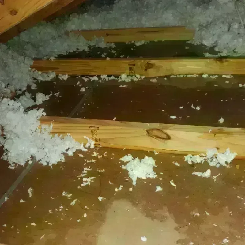 Attic Water Damage in Fayetteville, NC