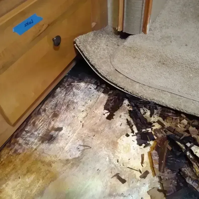 Wood Floor Water Damage in Fayetteville, NC